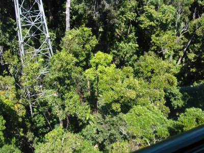 It's a long way down (over 100 ft) from where we are to the rainforest below