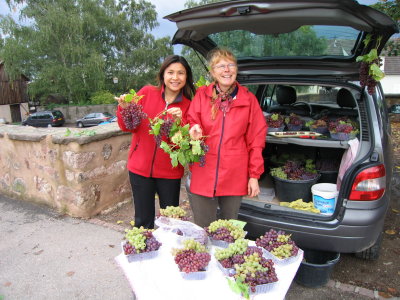 Selling grapes outside her vineyard