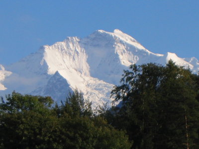 Jungfrau viewed from the hotel Rugenpark