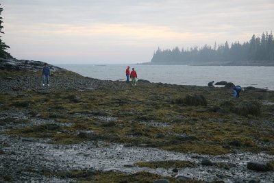 Beachcombers