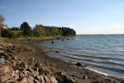 Duck Cove