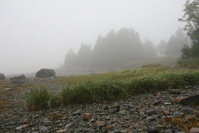 Foggy Shore 2