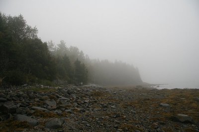 Foggy Shore
