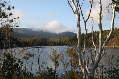 Otter Cove