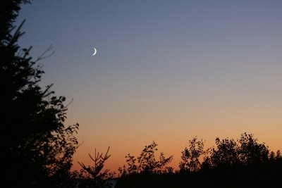 Tuesday Moonset 1