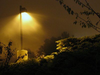 Fog under light at Lawrence Hall of Science around 8pm