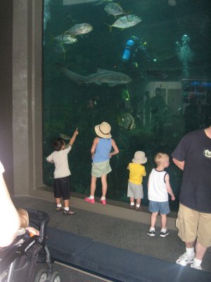 Kyle, Sarah, Noah, and Ryan  watch sharks and a Scuba Diver at Pittsburgh Zoo