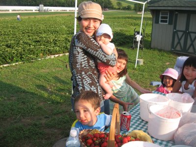 Picking Strawberries