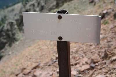 443.jpg