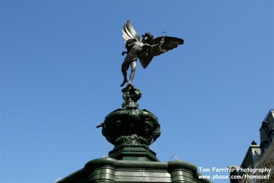 Piccadilly Circus - 3D9F2344.jpg