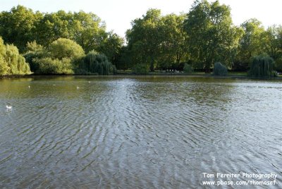 St. James Park - 3D9F2432.jpg