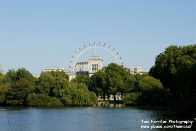 St. James Park - 3D9F2436.jpg