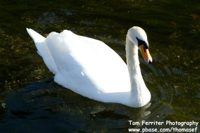 St. James Park - 3D9F2451.jpg