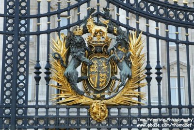 Buckingham Palace - 3D9F2493.jpg
