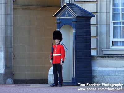 Buckingham Palace - PS0E4812.jpg