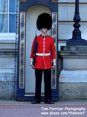 Buckingham Palace - PS0E4815.jpg