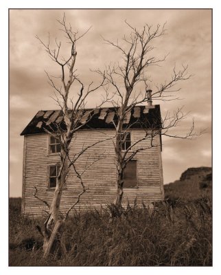 This Ole Houseby Jerry Curtis