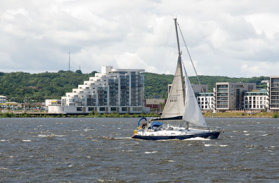 sailing the bay