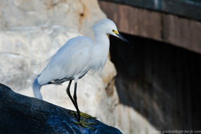 VS08 (058) Seaworld