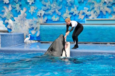 VS08 (092) Seaworld