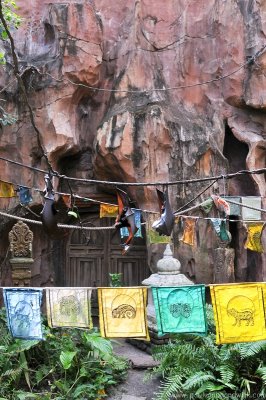 VS08 (147) Animal Kingdom