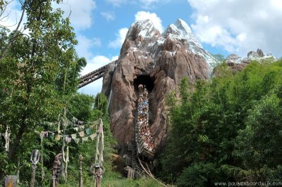 VS08 (157) Animal Kingdom