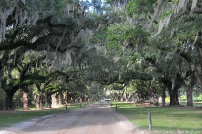 VS08 (226) Charleston, SC