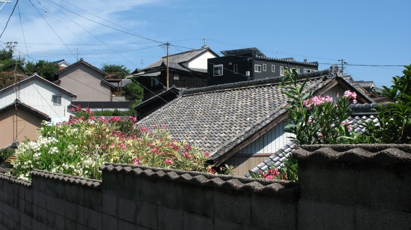 Rooftops and summer flowers