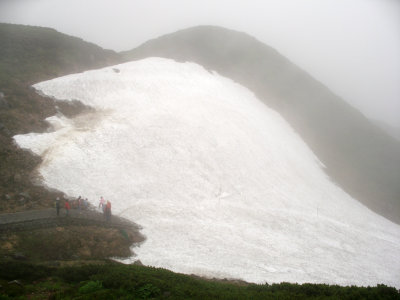 Ice covering the path to Jigokudani Onsen