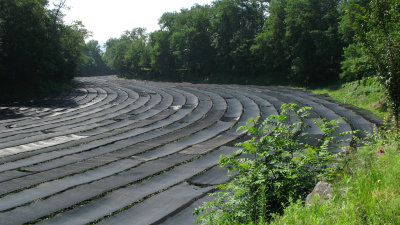 Curving row of wasabi fields