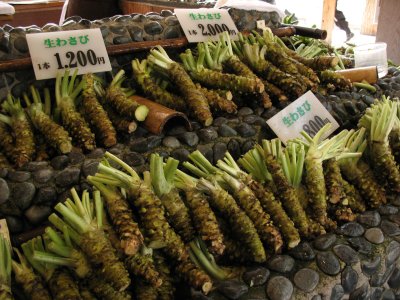 Fresh wasabi roots for sale