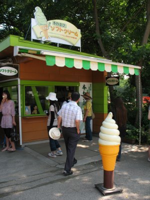 Wasabi ice cream shop