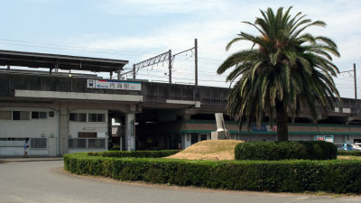 Palm tree outside drab Utsumi Station