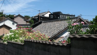 Rooftops and summer flowers