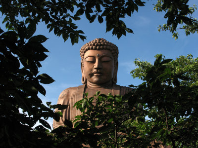 Tokai's Daibutsu peeking through the trees