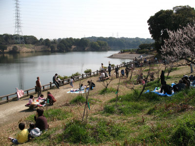 Picnicking around the lake, Sōri-ike