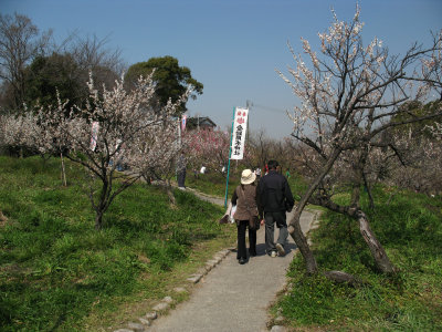 Strolling through the ume trees, Sōri-ike