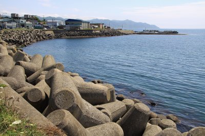 Tetrapods lining the waterfront in Matsumae