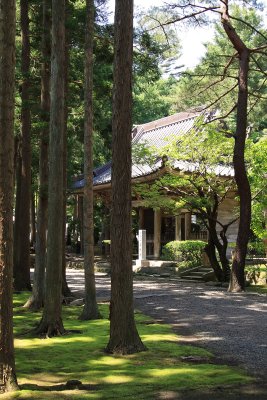 Forested path leading to Hōdō-ji