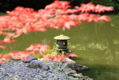 Red maple leaves and stone lantern, Shimizu-en