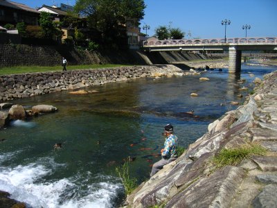 Feeding fish along the Miya-gawa