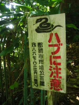 g5/97/490897/3/68390931.0rZSYH1N.jpg