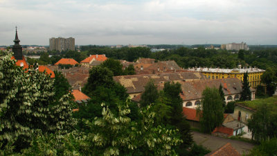 Leafy view over the Petrovaradin district