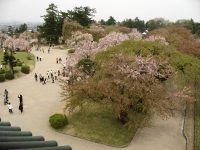 View over the Honmaru