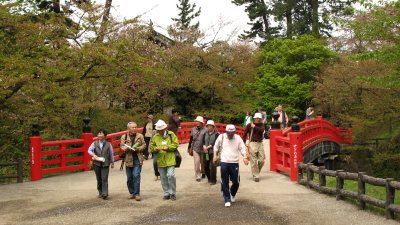 Tourists crossing the Sugi-no-daibashi
