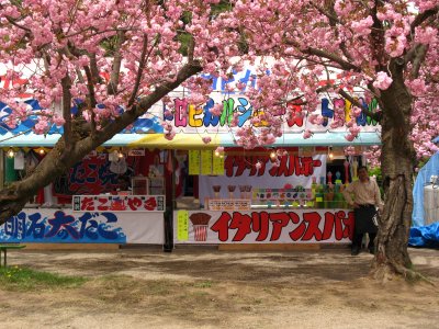 Yatai under the sakura