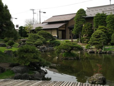 Sculpted landscape in the garden