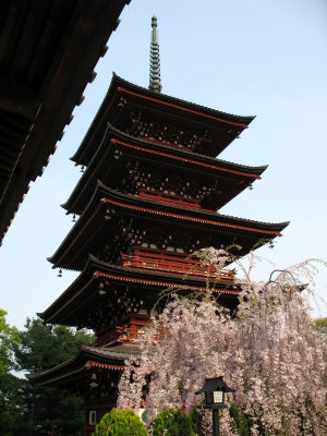Five-storied pagoda at Saishō-in