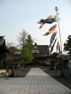 Carp streamers at Saishō-in