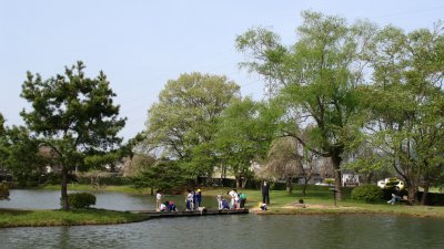 Overview of the Jōdo-style garden